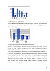Moksleivių mityba Lietuvos mokyklose 10 puslapis