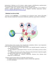 Įsilaužimas į serverius ir apsauga 3 puslapis