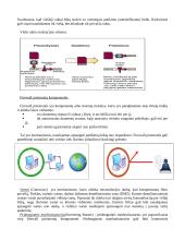 Įsilaužimas į serverius ir apsauga 8 puslapis
