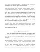 Moterų užimtumas ir padėtis darbo rinkoje 11 puslapis