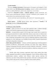 Moterų užimtumas ir padėtis darbo rinkoje 6 puslapis