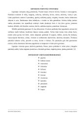 Ispanijos prieskoniai 2 puslapis