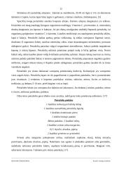 Ispanijos prieskoniai 12 puslapis