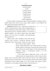 Ispanijos prieskoniai 13 puslapis