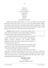 Ispanijos prieskoniai 14 puslapis