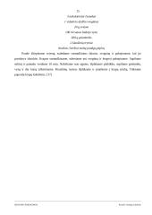 Ispanijos prieskoniai 15 puslapis
