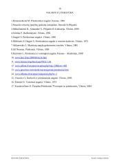 Ispanijos prieskoniai 16 puslapis