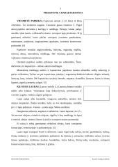 Ispanijos prieskoniai 3 puslapis