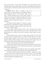 Ispanijos prieskoniai 5 puslapis