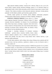 Ispanijos prieskoniai 6 puslapis