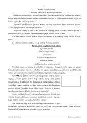 Ispanijos prieskoniai 7 puslapis