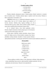 Ispanijos prieskoniai 9 puslapis