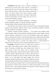 Ispanijos prieskoniai 10 puslapis