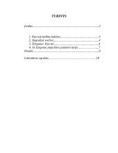 Žargonybės jaunimo tarpe 2 puslapis