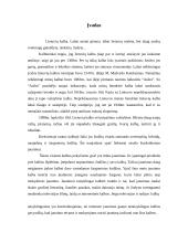 Žargonybės jaunimo tarpe 3 puslapis