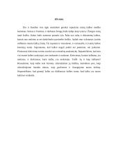 Žargonybės jaunimo tarpe 9 puslapis