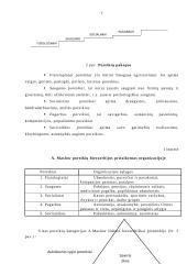 Motyvacijos vaidmuo ir reikšmė 7 puslapis