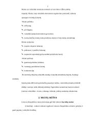 Muitai ir jų apskaičiavimas 3 puslapis