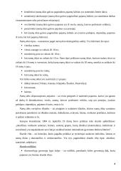 Namų ūkio tyrimas 4 puslapis