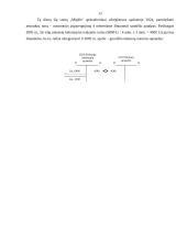 Kaupimai apskaitoje. Sąskaitų koregavimas 12 puslapis