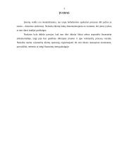 Kaupimai apskaitoje. Sąskaitų koregavimas 3 puslapis