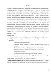 Narkomanijos prevencijos būdų efektyvumas mokykloje 2 puslapis