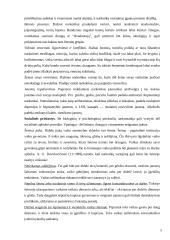 Narkomanijos prevencijos būdų efektyvumas mokykloje 5 puslapis