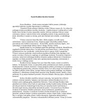 Poetas Kazys Bradūnas  3 puslapis