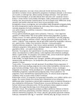 Kompiuterių raida ir tipai 11 puslapis