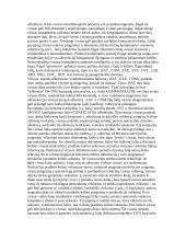 Kompiuterių raida ir tipai 12 puslapis