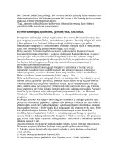 Kompiuterių raida ir tipai 9 puslapis