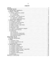 Naujo produkto įvedimas į rinką 2 puslapis