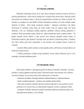 Naujo produkto įvedimas į rinką 11 puslapis