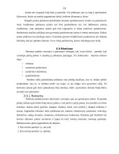 Naujo produkto įvedimas į rinką 13 puslapis