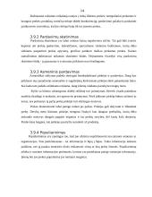 Naujo produkto įvedimas į rinką 14 puslapis