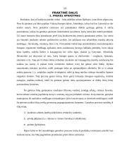 Naujo produkto įvedimas į rinką 15 puslapis