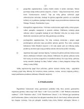 Naujo produkto įvedimas į rinką 17 puslapis