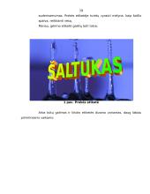 Naujo produkto įvedimas į rinką 19 puslapis