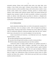 Naujo produkto įvedimas į rinką 7 puslapis