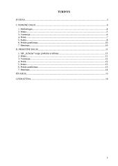 Naujo produkto įvedimas į rinką: AB "Achema" 2 puslapis