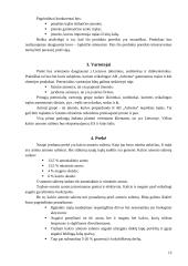 Naujo produkto įvedimas į rinką: AB "Achema" 12 puslapis