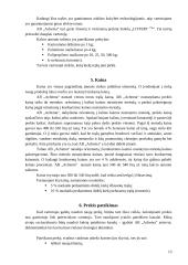 Naujo produkto įvedimas į rinką: AB "Achema" 13 puslapis