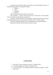 Naujo produkto įvedimas į rinką: AB "Achema" 15 puslapis