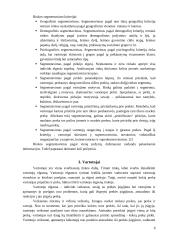 Naujo produkto įvedimas į rinką: AB "Achema" 6 puslapis