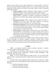 Naujo produkto įvedimas į rinką: AB "Achema" 7 puslapis