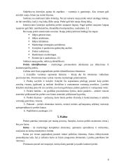 Naujo produkto įvedimas į rinką: AB "Achema" 8 puslapis