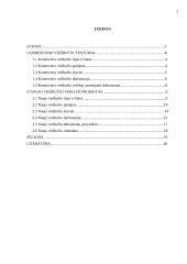 Naujo viešbučio veiklos projektas 2 puslapis