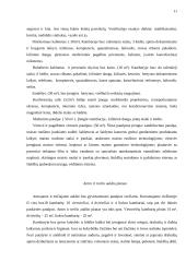 Naujo viešbučio veiklos projektas 11 puslapis