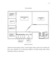 Naujo viešbučio veiklos projektas 13 puslapis