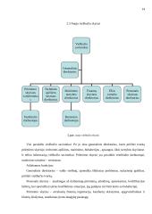 Naujo viešbučio veiklos projektas 14 puslapis